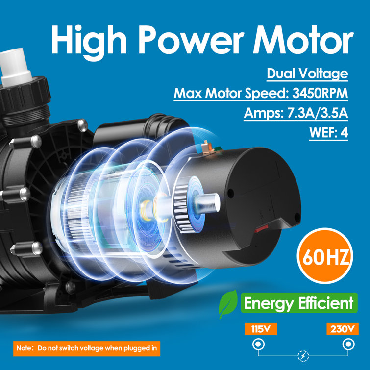 IVY&LANE High Efficiency Pool Pump Wayfair Canada